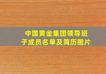 中国黄金集团领导班子成员名单及简历图片