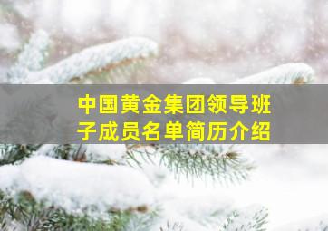 中国黄金集团领导班子成员名单简历介绍