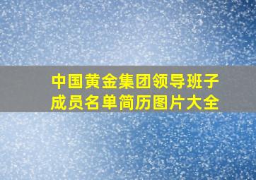 中国黄金集团领导班子成员名单简历图片大全