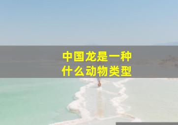 中国龙是一种什么动物类型