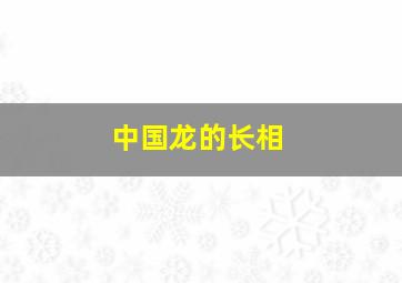 中国龙的长相