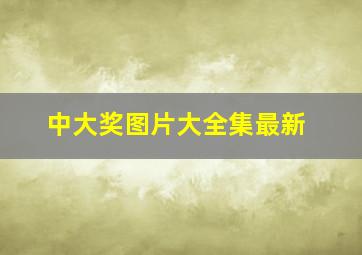 中大奖图片大全集最新