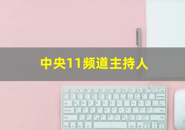 中央11频道主持人