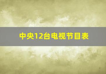 中央12台电视节目表