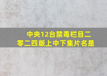 中央12台禁毒栏目二零二四版上中下集片名是