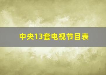 中央13套电视节目表