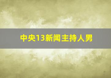 中央13新闻主持人男