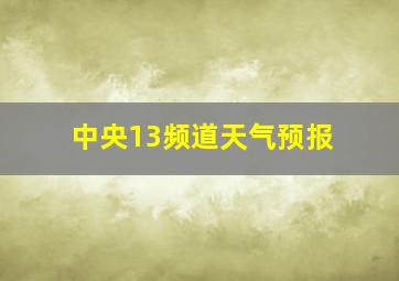 中央13频道天气预报