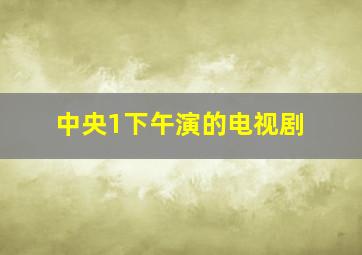 中央1下午演的电视剧