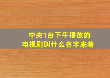 中央1台下午播放的电视剧叫什么名字来着