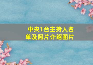 中央1台主持人名单及照片介绍图片