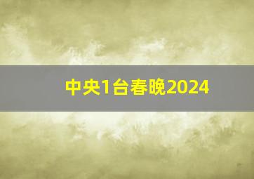 中央1台春晚2024