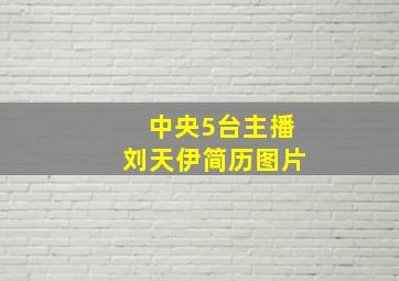 中央5台主播刘天伊简历图片