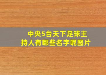 中央5台天下足球主持人有哪些名字呢图片