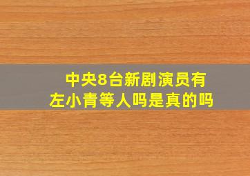 中央8台新剧演员有左小青等人吗是真的吗