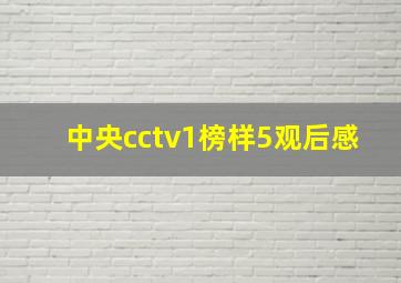 中央cctv1榜样5观后感