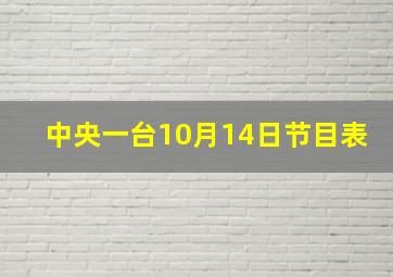 中央一台10月14日节目表