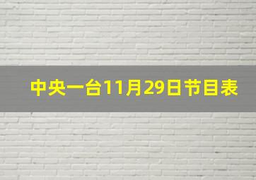 中央一台11月29日节目表