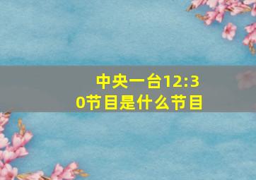 中央一台12:30节目是什么节目