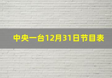 中央一台12月31日节目表