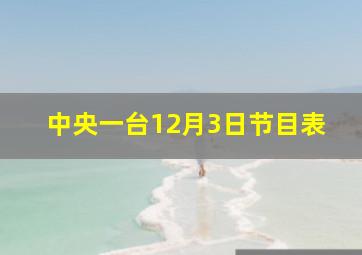 中央一台12月3日节目表