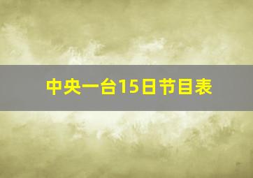 中央一台15日节目表