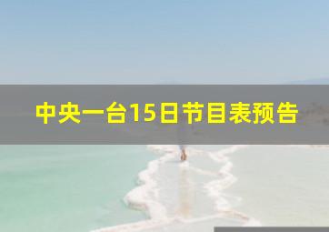 中央一台15日节目表预告