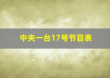 中央一台17号节目表