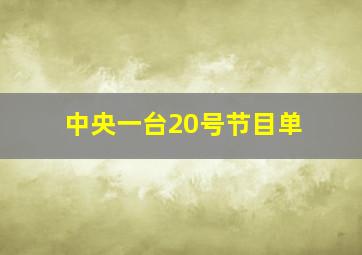 中央一台20号节目单