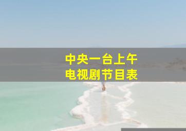 中央一台上午电视剧节目表