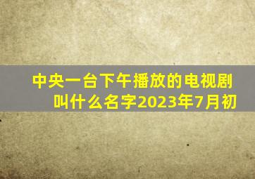 中央一台下午播放的电视剧叫什么名字2023年7月初