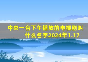 中央一台下午播放的电视剧叫什么名字2024年1.17