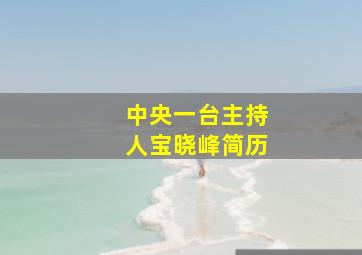 中央一台主持人宝晓峰简历