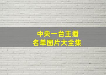 中央一台主播名单图片大全集