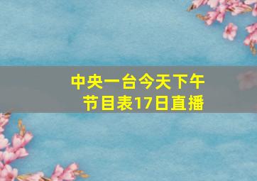 中央一台今天下午节目表17日直播