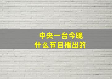 中央一台今晚什么节目播出的