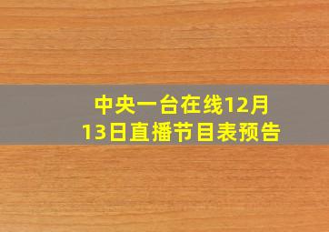 中央一台在线12月13日直播节目表预告