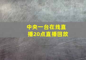 中央一台在线直播20点直播回放