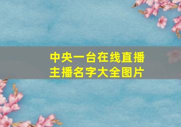 中央一台在线直播主播名字大全图片