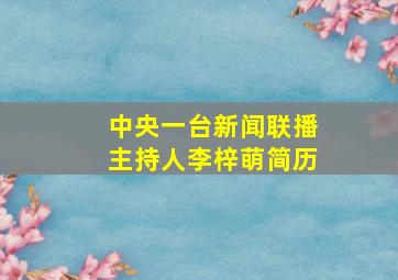 中央一台新闻联播主持人李梓萌简历