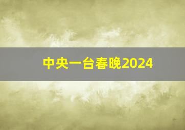 中央一台春晚2024