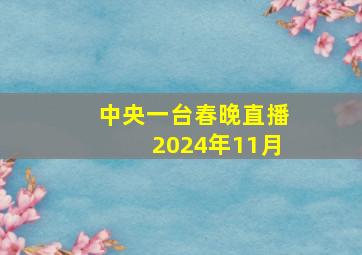 中央一台春晚直播2024年11月