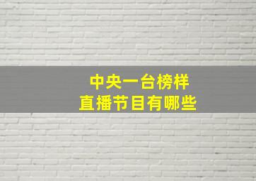 中央一台榜样直播节目有哪些