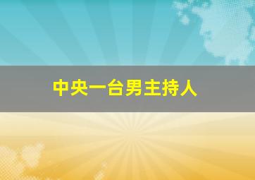 中央一台男主持人