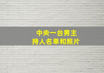 中央一台男主持人名单和照片