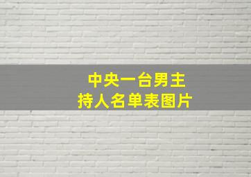 中央一台男主持人名单表图片