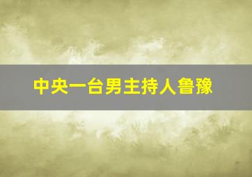 中央一台男主持人鲁豫