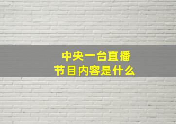 中央一台直播节目内容是什么