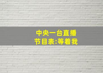 中央一台直播节目表:等着我