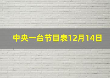 中央一台节目表12月14日